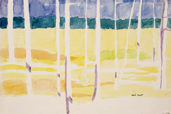 Sunlight Montana by Annie Dillard
